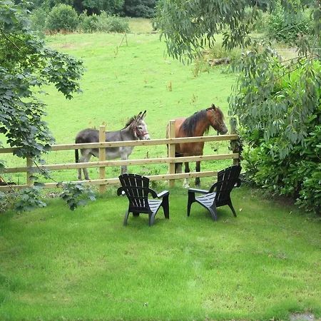 Lakeview Courtyard * Killarney